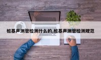桩基声测管检测什么的,桩基声测管检测规范