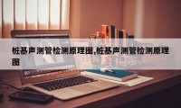桩基声测管检测原理图,桩基声测管检测原理图