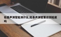 桩基声测管能测什么,桩基声测管要放到桩底吗