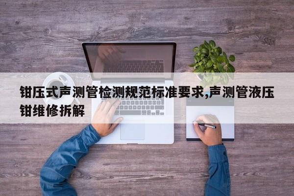 钳压式声测管检测规范标准要求,声测管液压钳维修拆解