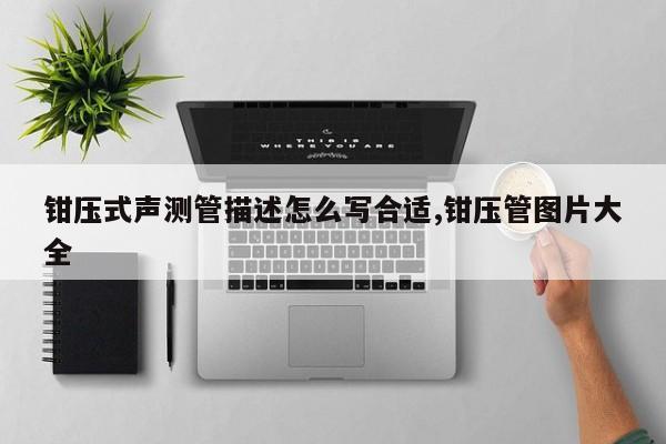 钳压式声测管描述怎么写合适,钳压管图片大全