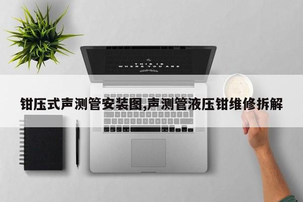 钳压式声测管安装图,声测管液压钳维修拆解