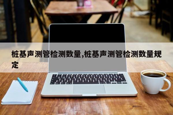 桩基声测管检测数量,桩基声测管检测数量规定