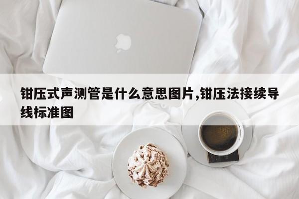 钳压式声测管是什么意思图片,钳压法接续导线标准图