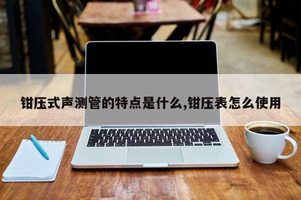 钳压式声测管的特点是什么,钳压表怎么使用