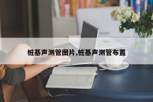 桩基声测管图片,桩基声测管布置